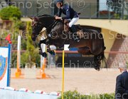CURCIO CARRY MONEY CampITA2013- S5 0347 : CARRY MONEY, CURCIO SERENA, Campionati Italiani 2013, Cattolica, Horse Riviera Resort, foto di Stefano Secchi ©